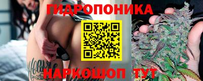 спиды Донской