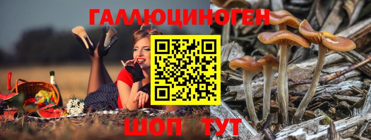 Псилоцибиновые грибы прущие грибы  купить   Псилоцибиновые грибы мухоморы  Медногорск  Вход с VPN 