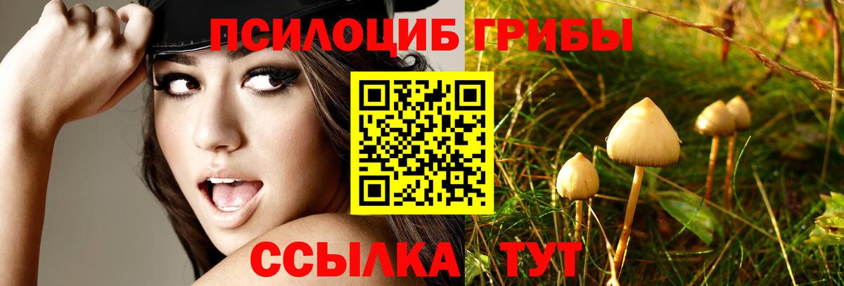 Псилоцибиновые грибы мухоморы Медногорск